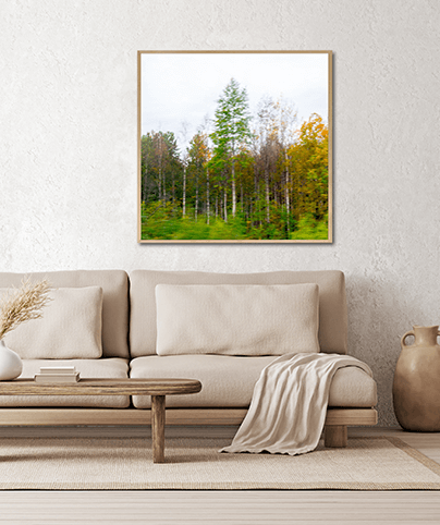 FOREST_06_SQ
